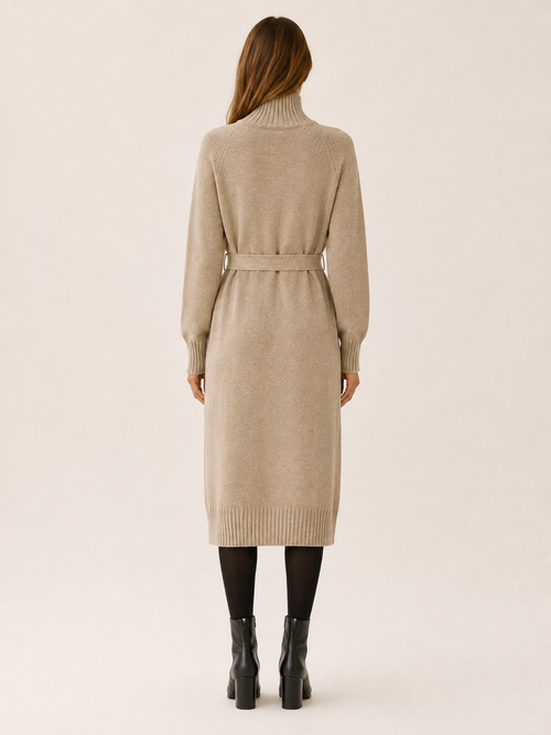 Aisling | Jumper Dress with Roll Neck and Tie Waist